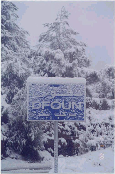 صور من دفون