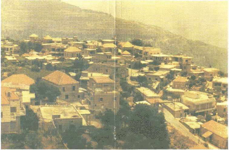 صور من دفون