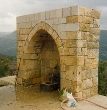 صور من دفون