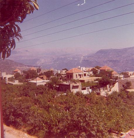 صور من دفون