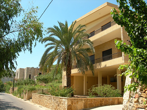 صور من دفون