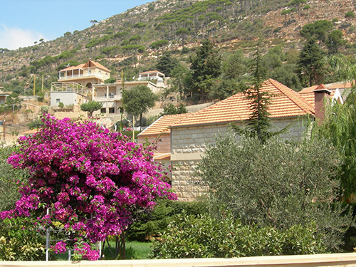 صور من دفون