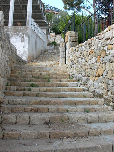 صور من دفون