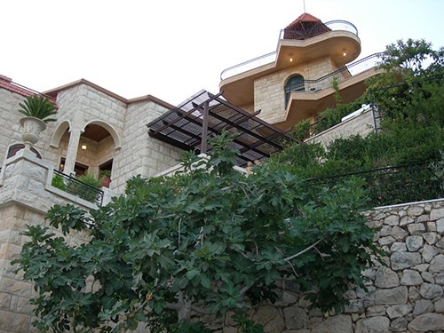 صور من دفون