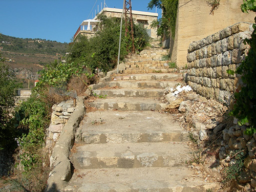 صور من دفون