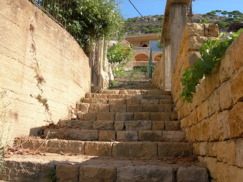 صور من دفون