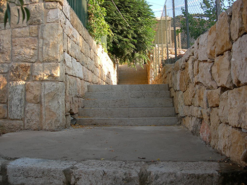 صور من دفون
