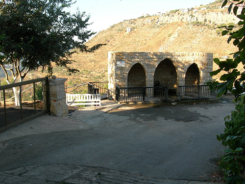 صور من دفون