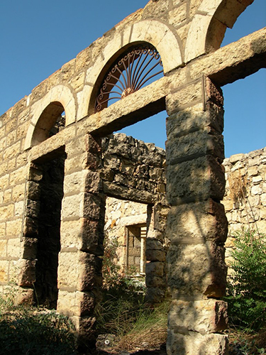 صور من دفون