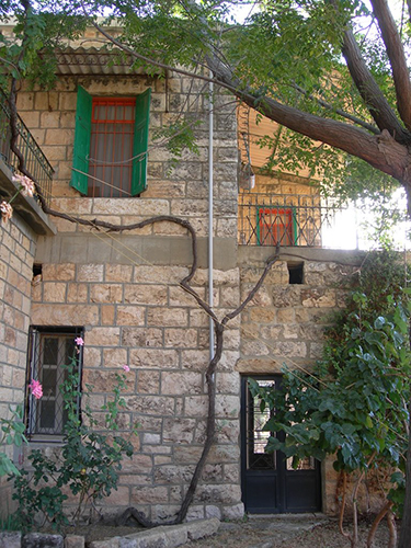 صور من دفون