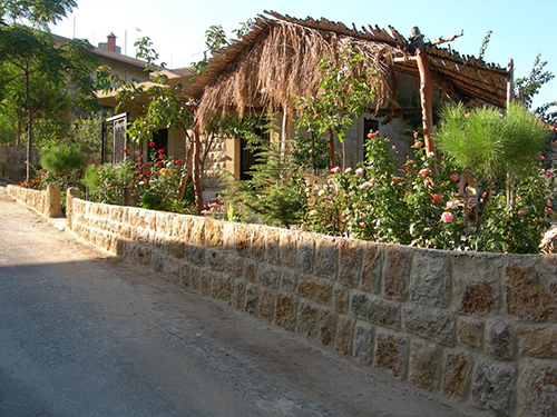 صور من دفون