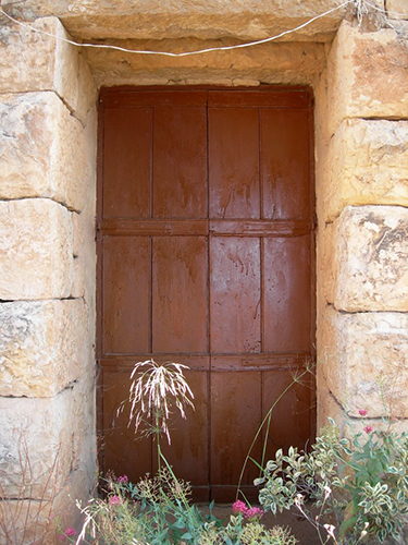 صور من دفون