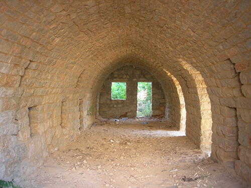 صور من دفون