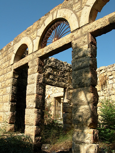 صور من دفون